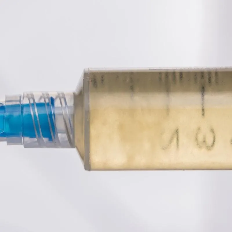 Organic Blue Oyster Mushroom Liquid Culture Syringe