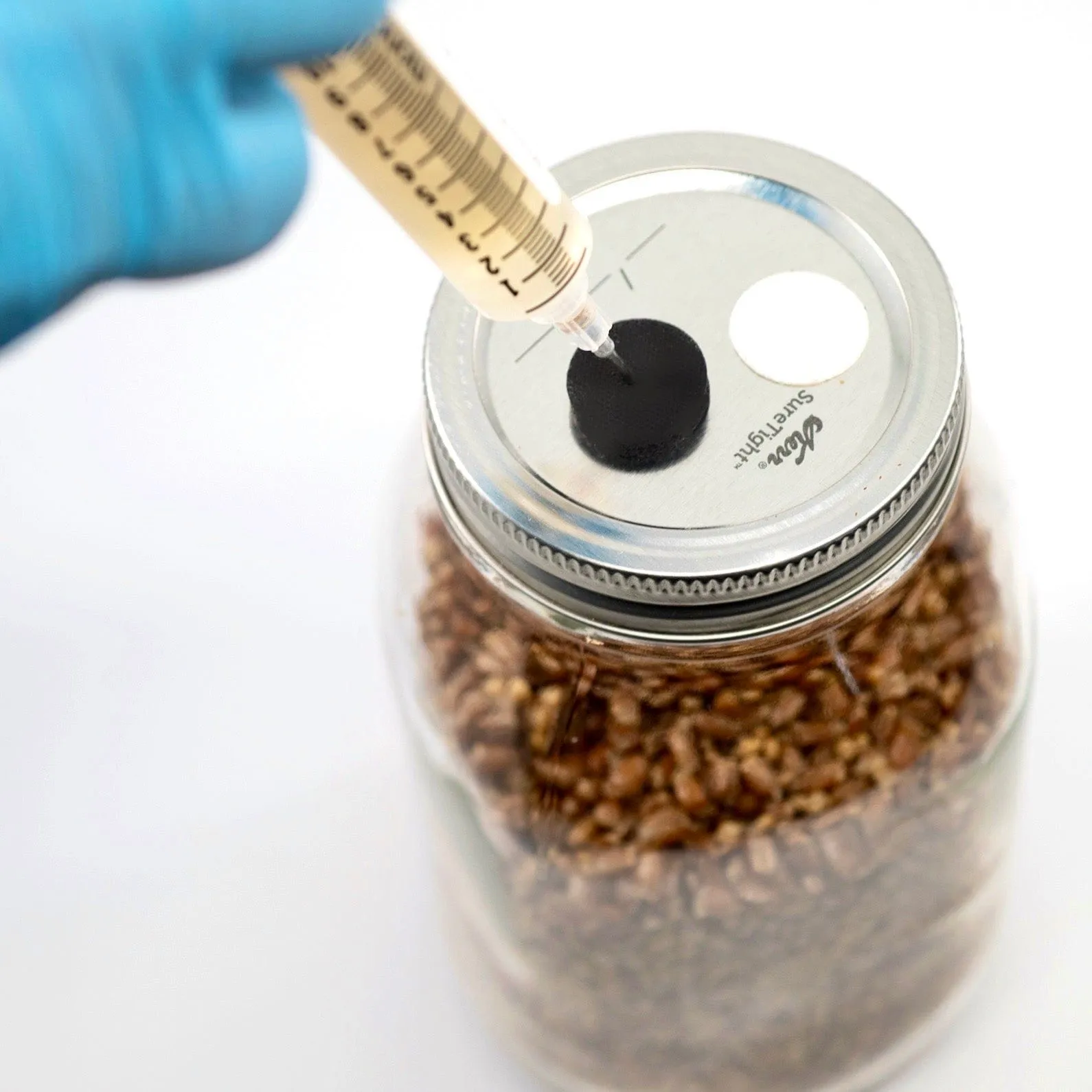 Organic Chestnut Mushroom Liquid Culture Syringe